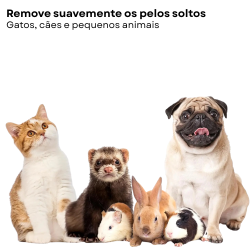 Escova Removedor de Pelos