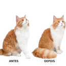 Escova Removedor de Pelos